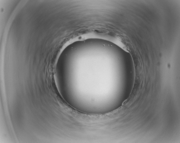 X0000059230037200510281916