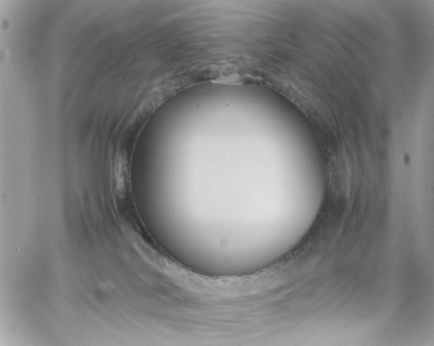 X0000059230038200510281916