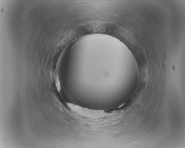 X0000059230039200510281916