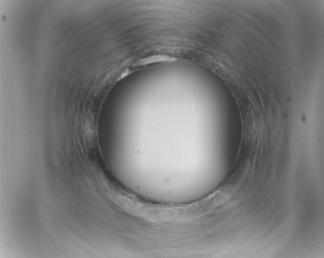 X0000059230040200510281916