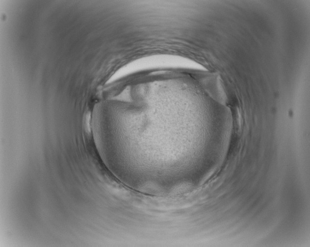 X0000059230041200510281916