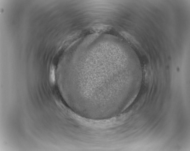 X0000059230042200510281916