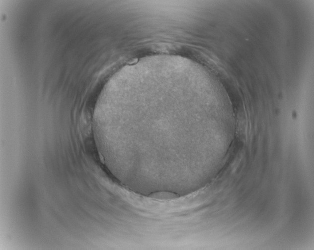 X0000059230043200510281916