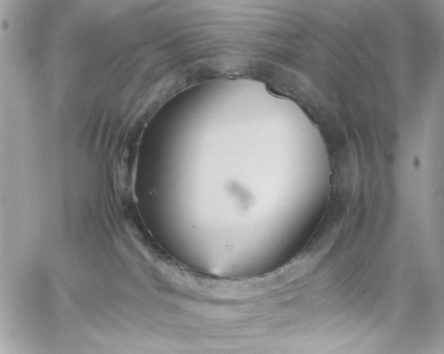 X0000059230044200510281916