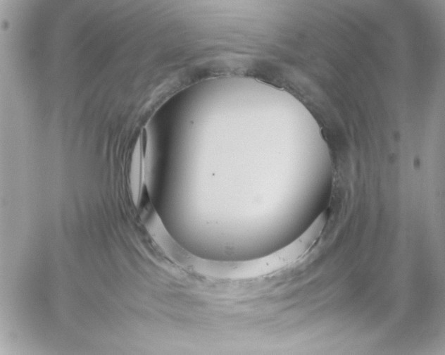 X0000059230045200510281916