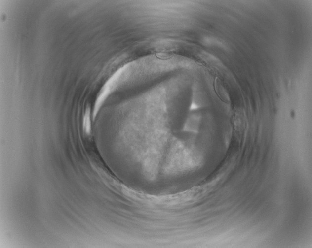 X0000059230046200510281916