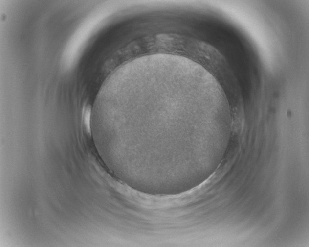 X0000059230047200510281916