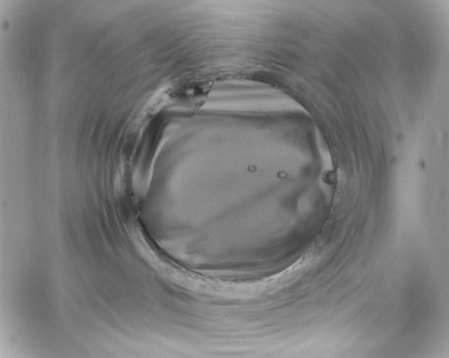 X0000059230048200510281916