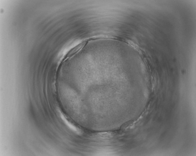 X0000059230050200510281915