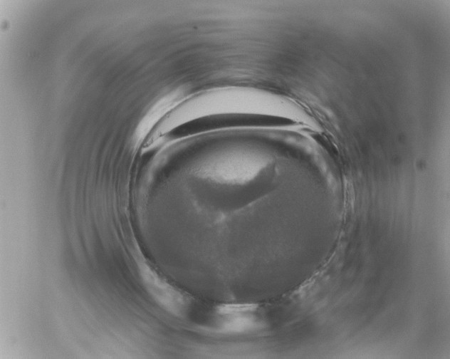 X0000059230051200510281915