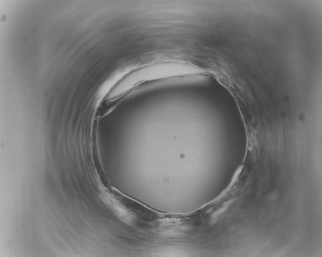 X0000059230052200510281915