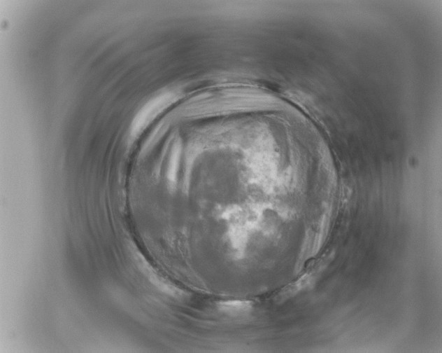 X0000059230053200510281915