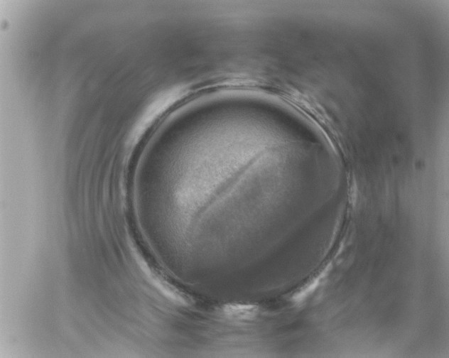 X0000059230055200510281916