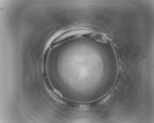 X0000059230056200510281916