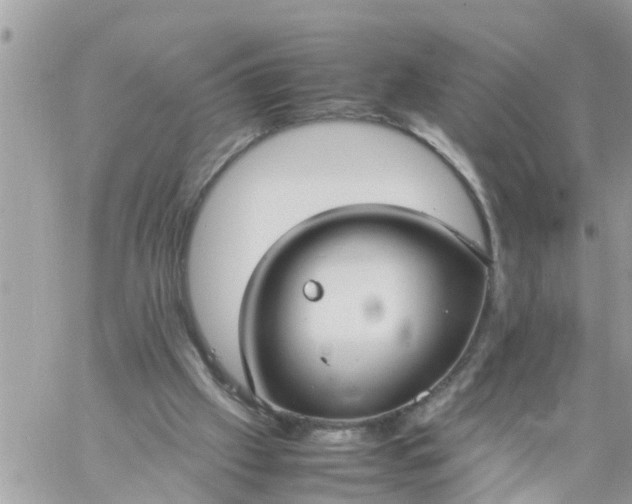 X0000059230057200510281916