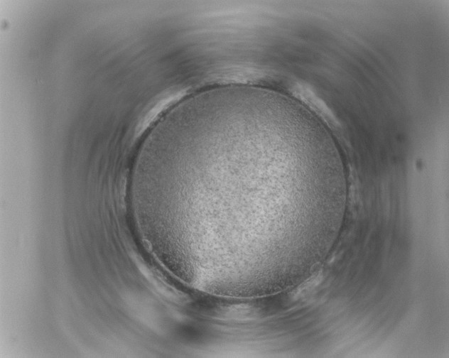 X0000059230058200510281916