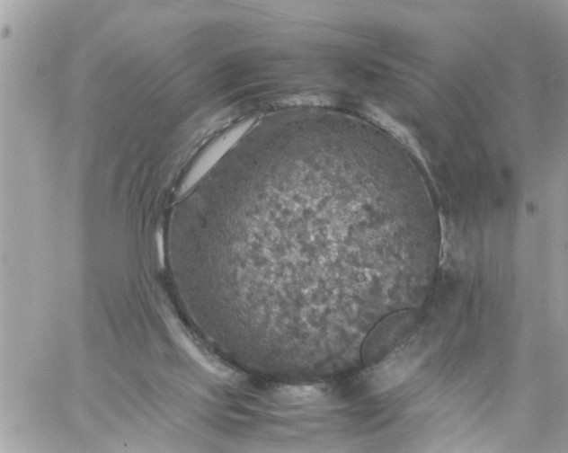 X0000059230061200510281916