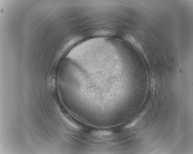 X0000059230063200510281916