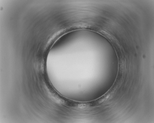 X0000059230064200510281916