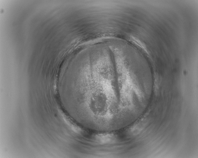 X0000059230065200510281916