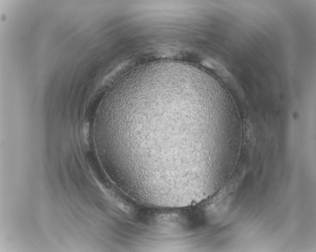 X0000059230066200510281916