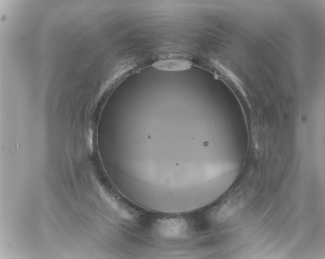 X0000059230067200510281916