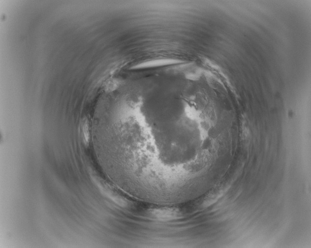 X0000059230069200510281916