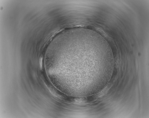 X0000059230070200510281916