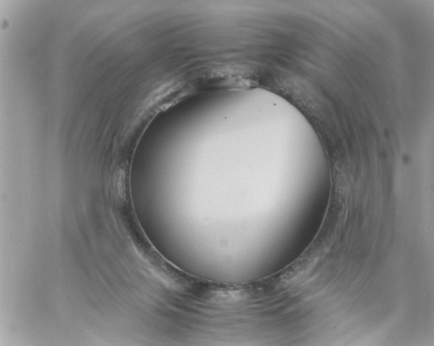 X0000059230071200510281916