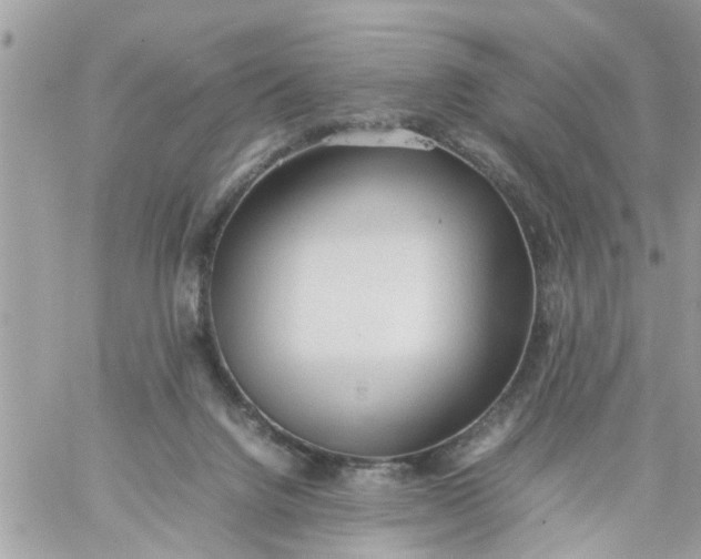 X0000059230072200510281916