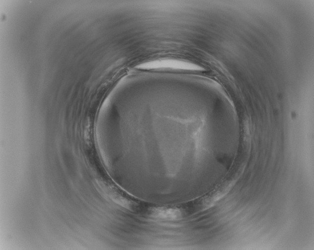 X0000059230073200510281916