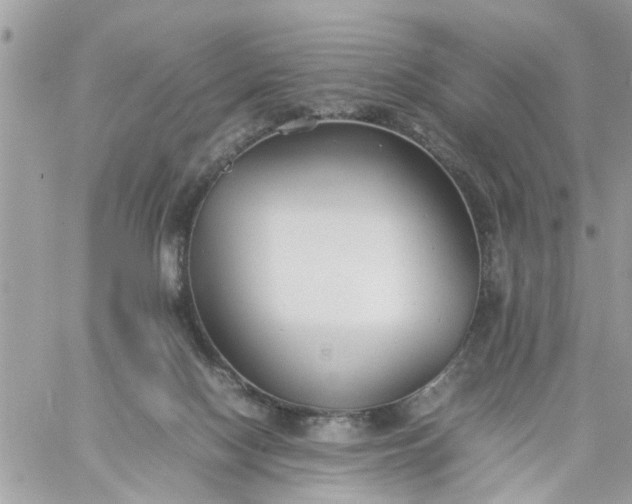 X0000059230074200510281916