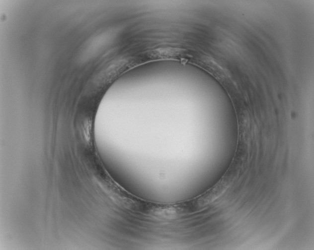 X0000059230075200510281916