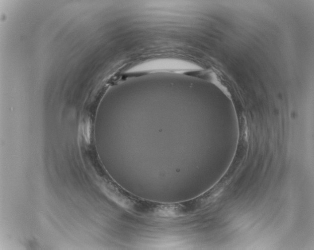 X0000059230076200510281916