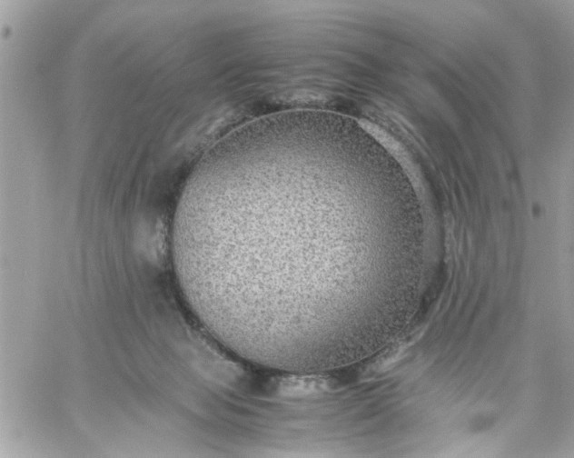 X0000059230077200510281916