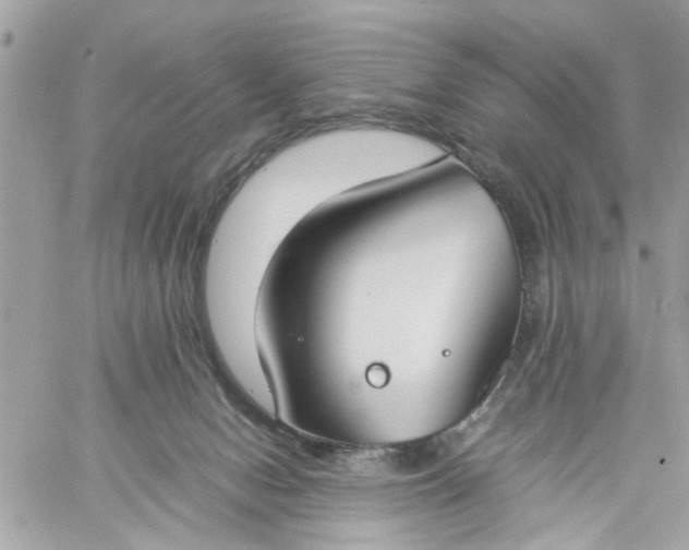 X0000059230078200510281916