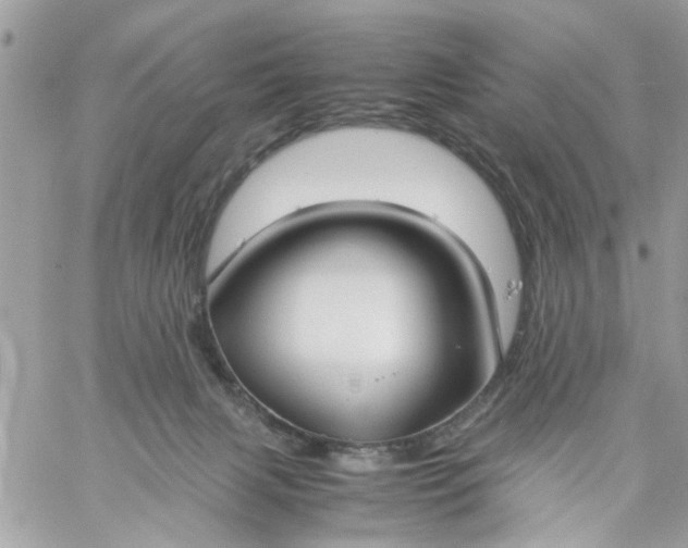 X0000059230079200510281916