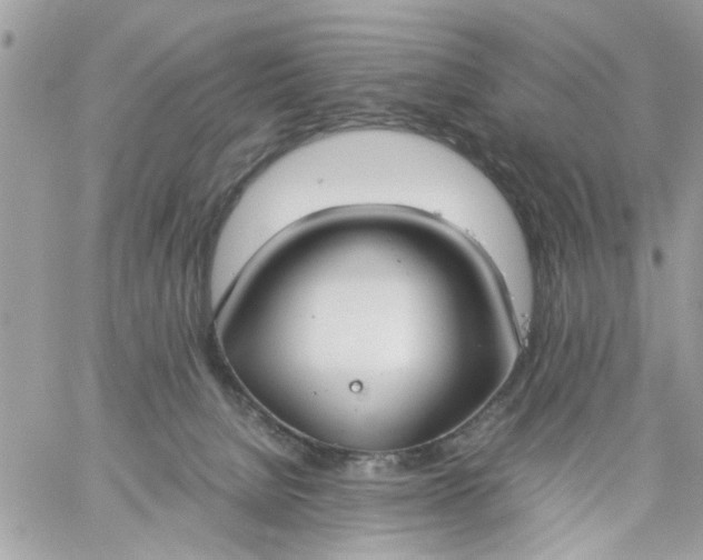 X0000059230080200510281916