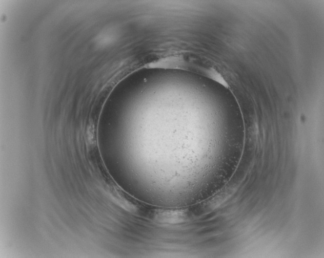 X0000059230081200510281916