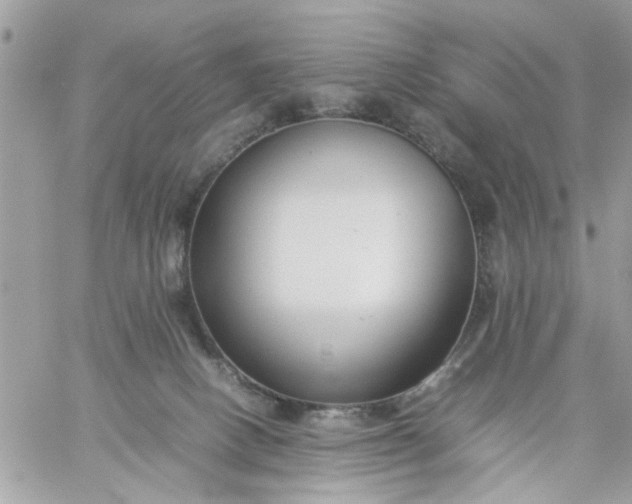 X0000059230082200510281916