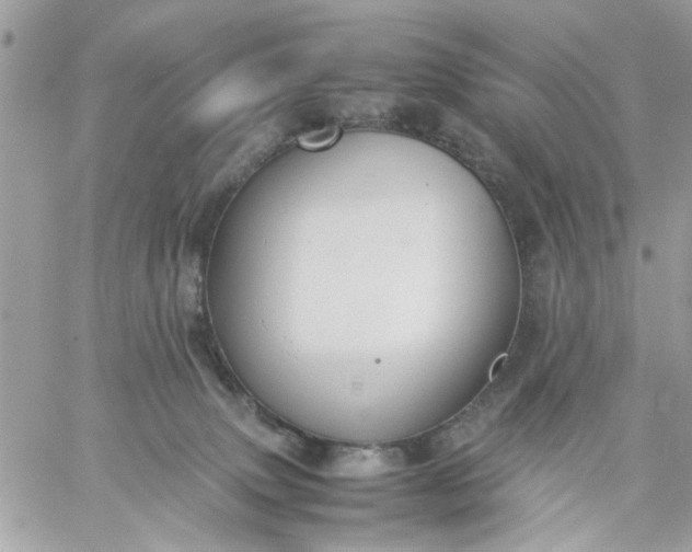 X0000059230083200510281916