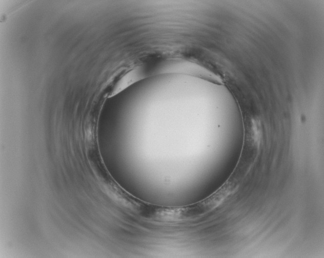 X0000059230084200510281916