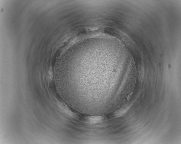 X0000059230085200510281916