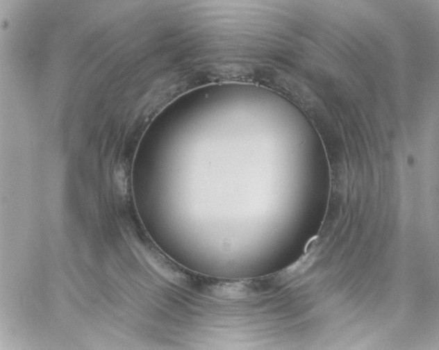 X0000059230086200510281916