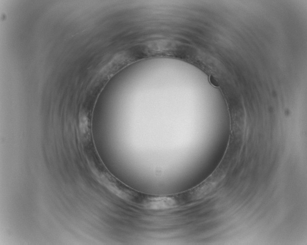 X0000059230087200510281916