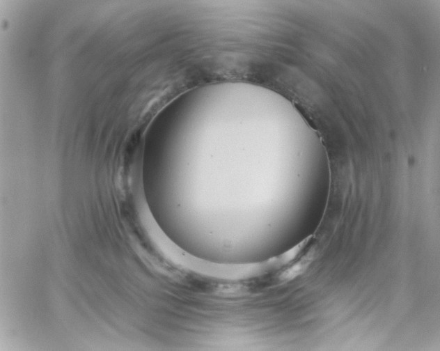 X0000059230088200510281916