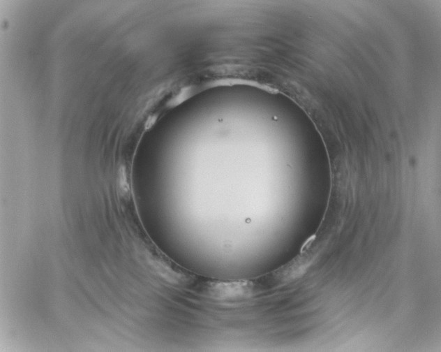 X0000059230089200510281916