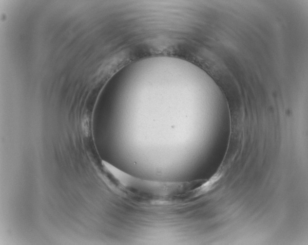 X0000059230090200510281916