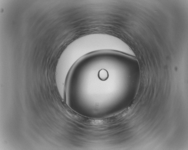 X0000059230091200510281916