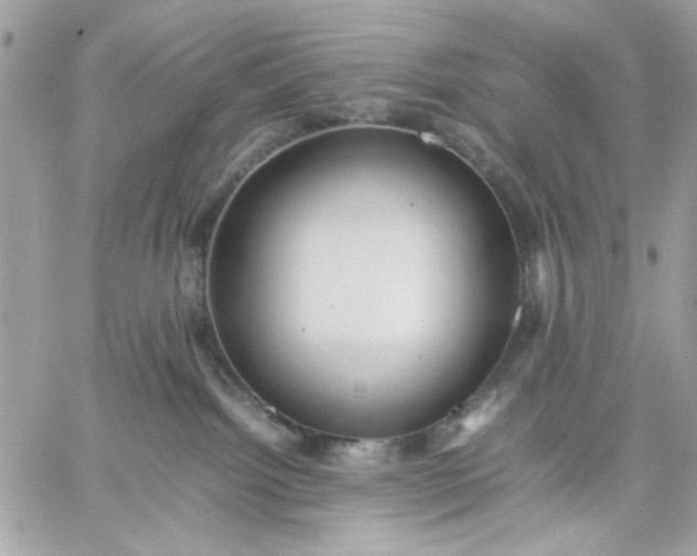 X0000059230092200510281916